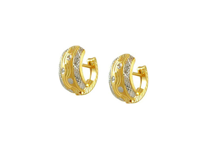 Dual Tone Plated | Fashion Earrings